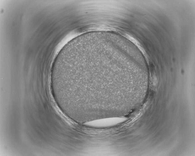 X0000087671187200705251611