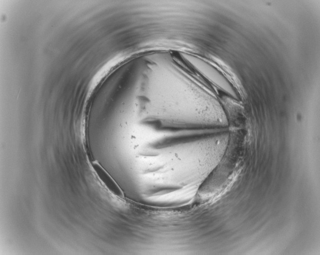 X0000087671188200705251611