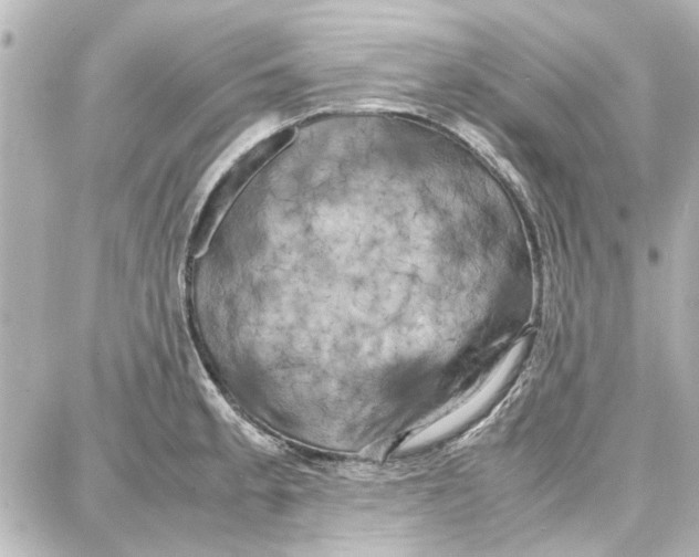 X0000087671189200705251611