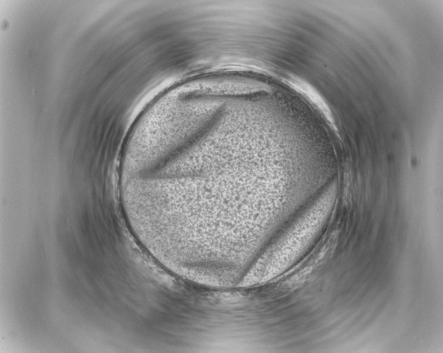 X0000087671190200705251611