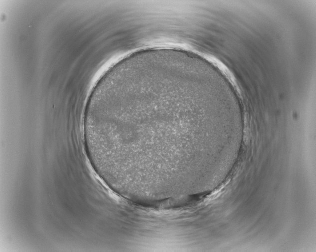 X0000087671191200705251611