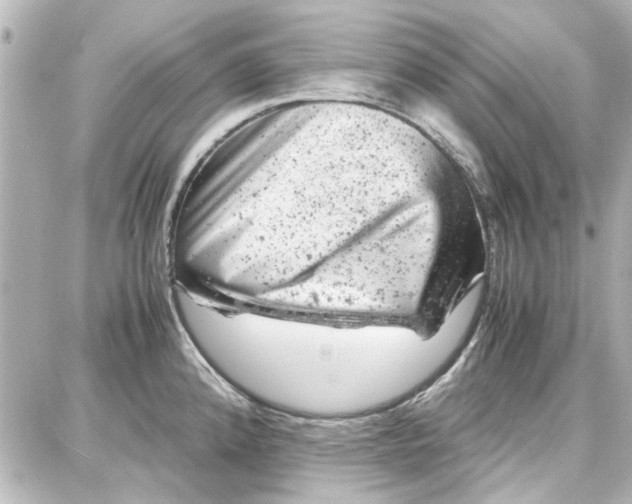 X0000087671192200705251611