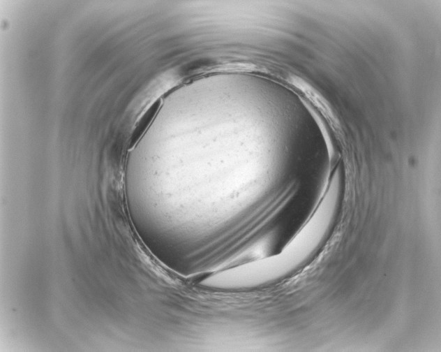 X0000087671193200705251611