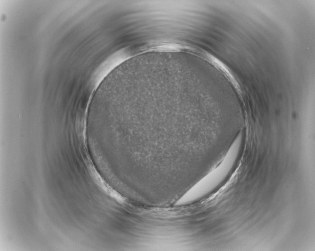 X0000087671194200705251611