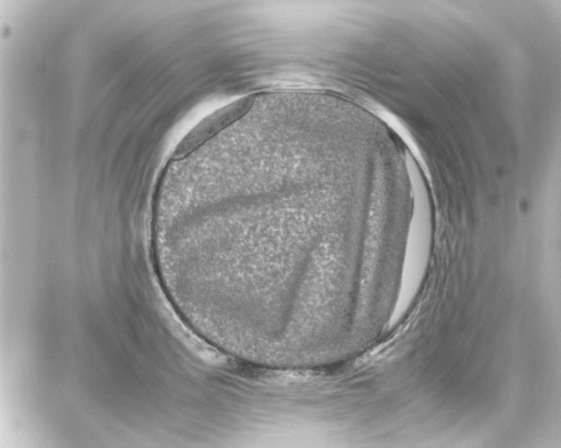 X0000087671195200705251611