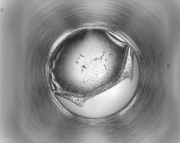 X0000087671196200705251611