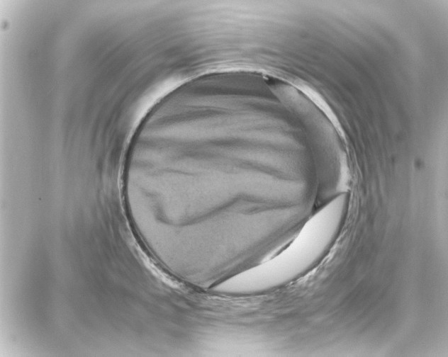 X0000087671197200705251611