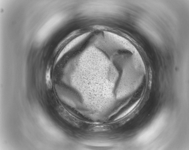 X0000087671198200705251611