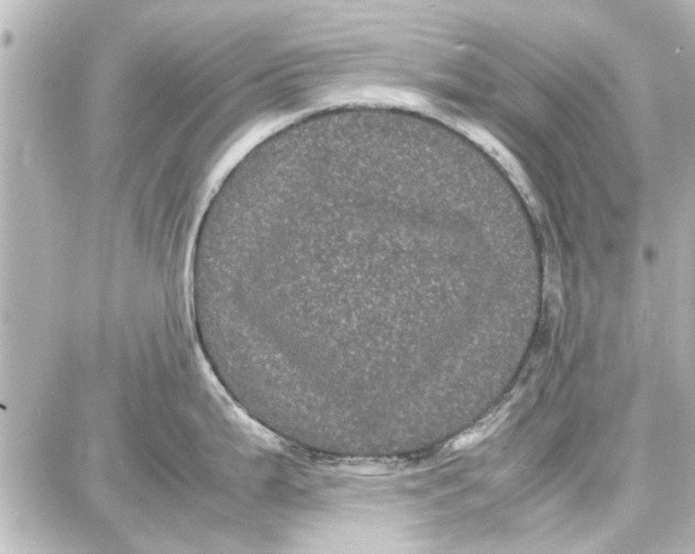 X0000087671199200705251611