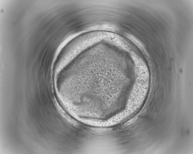 X0000087671200200705251611