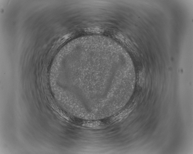 X0000087671201200705251610