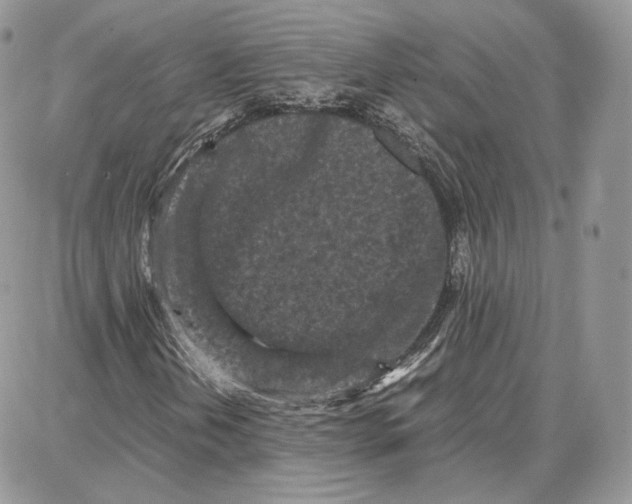 X0000087671202200705251610