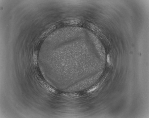 X0000087671203200705251610