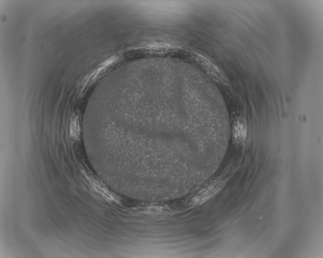 X0000087671204200705251610