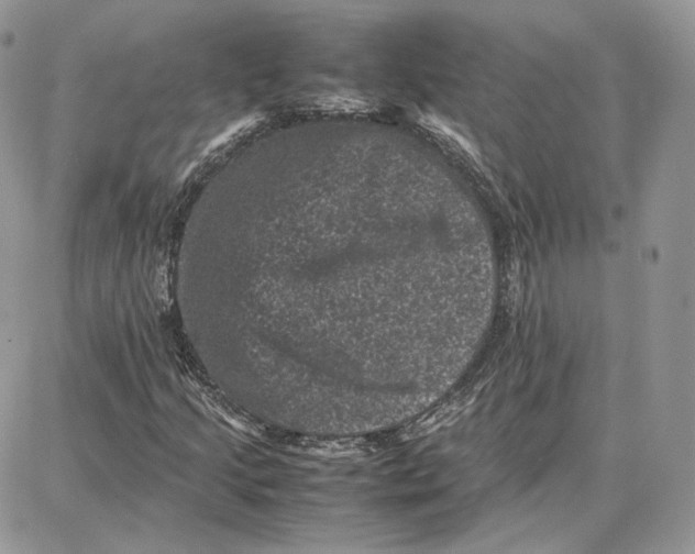 X0000087671205200705251610