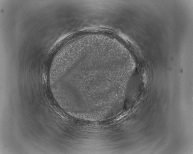 X0000087671206200705251610