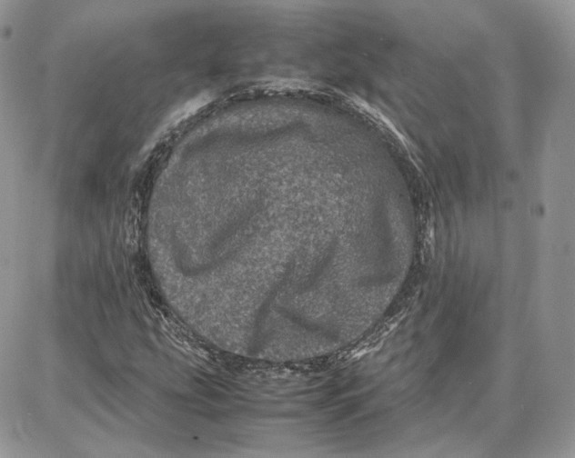 X0000087671207200705251610