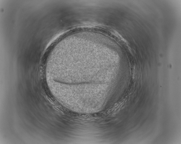 X0000087671208200705251610