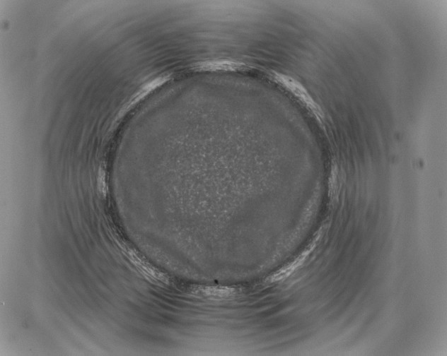 X0000087671209200705251610