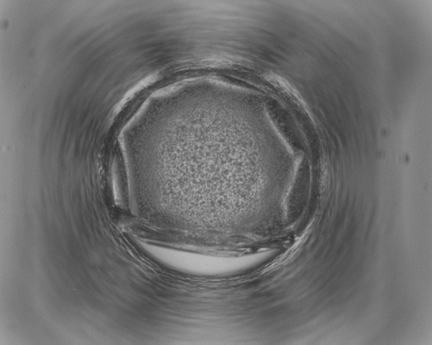 X0000087671210200705251610