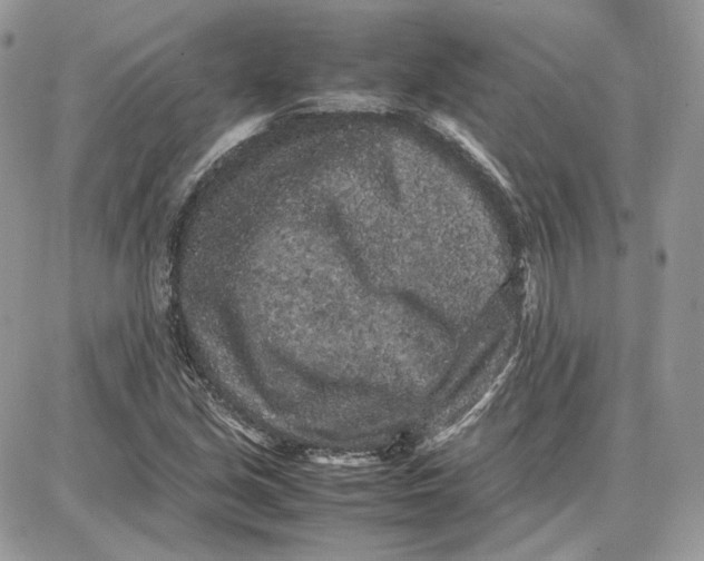 X0000087671213200705251610