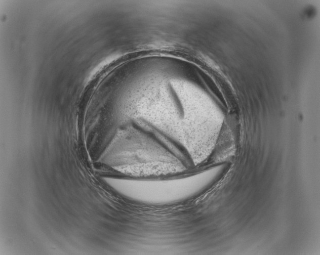 X0000087671214200705251610