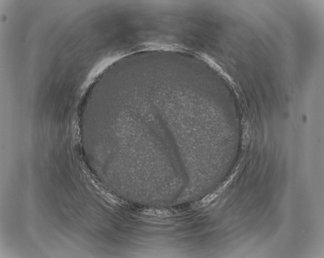 X0000087671215200705251610