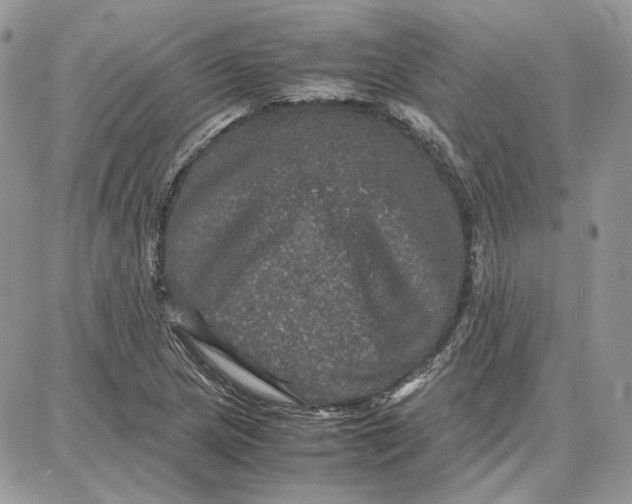 X0000087671217200705251610