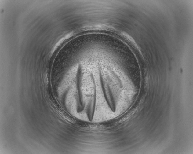 X0000087671218200705251610