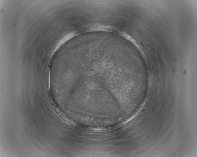 X0000087671219200705251610