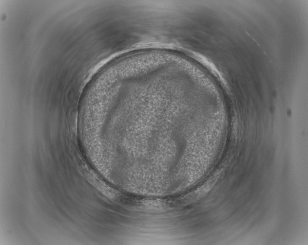 X0000087671220200705251610