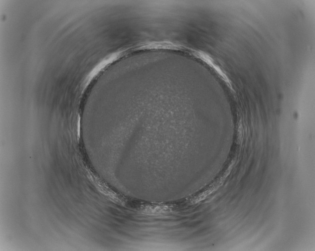 X0000087671221200705251610