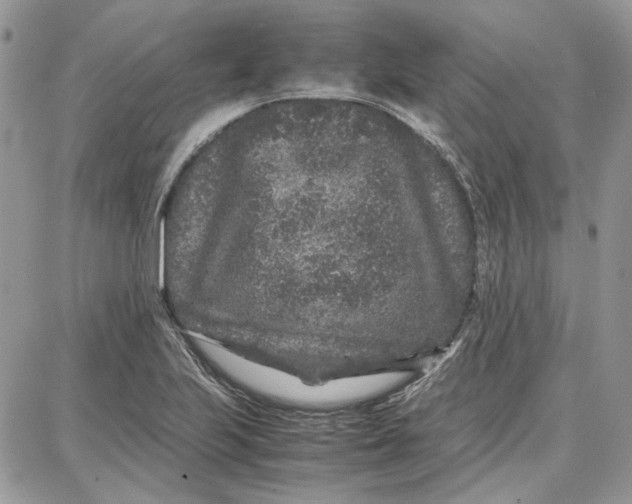 X0000087671223200705251610