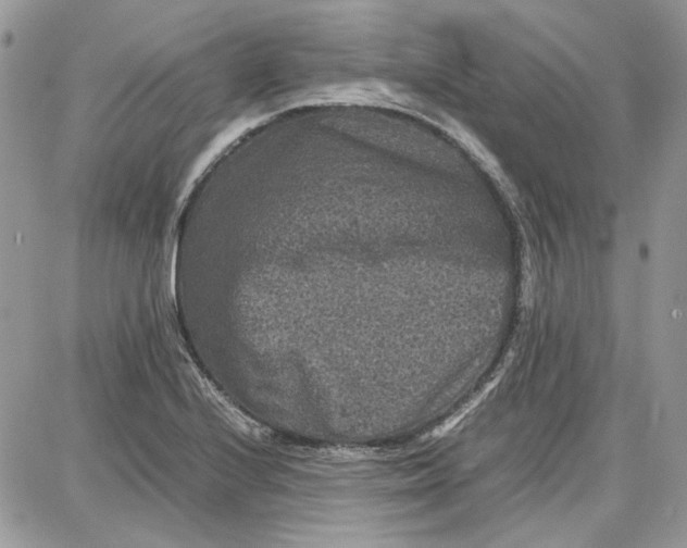 X0000087671224200705251610