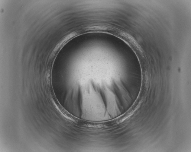 X0000087671225200705251610