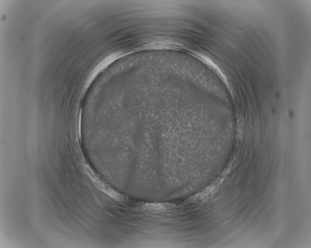 X0000087671227200705251610