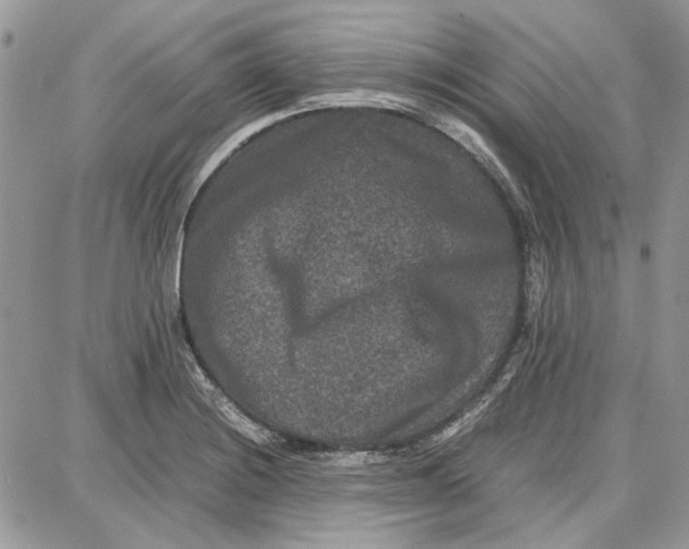 X0000087671228200705251610