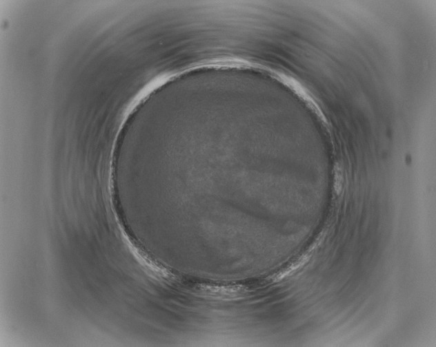 X0000087671229200705251610