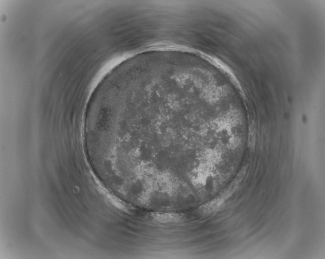 X0000087671231200705251611