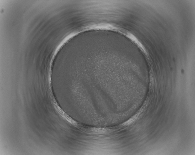 X0000087671232200705251611