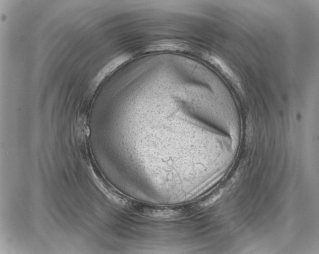 X0000087671233200705251611