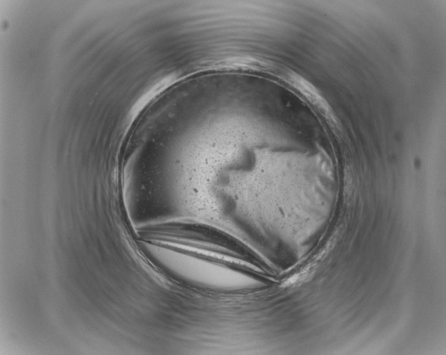 X0000087671234200705251611