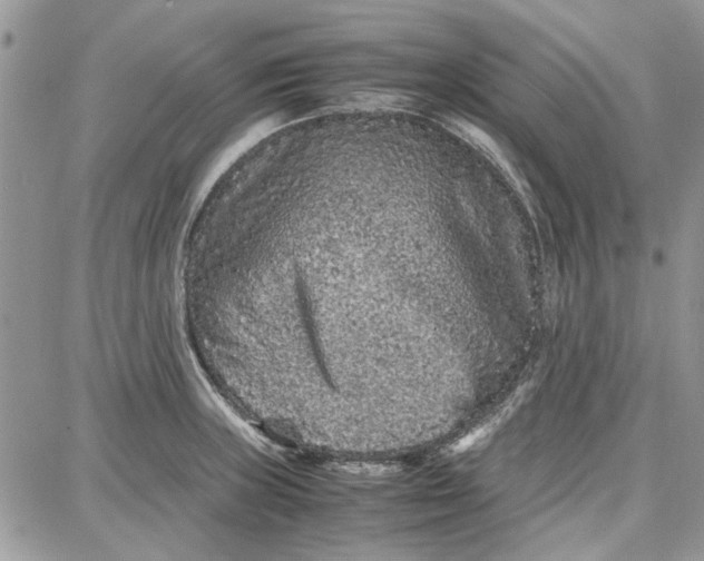 X0000087671235200705251611