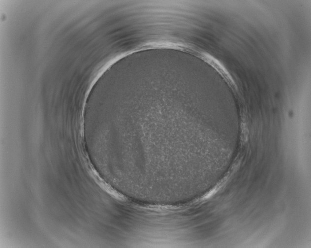 X0000087671236200705251611