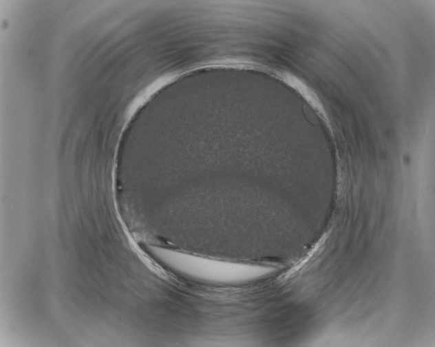 X0000087671237200705251611