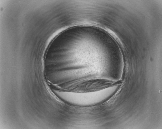 X0000087671238200705251611