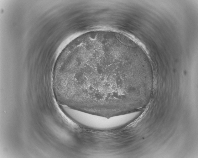 X0000087671239200705251611