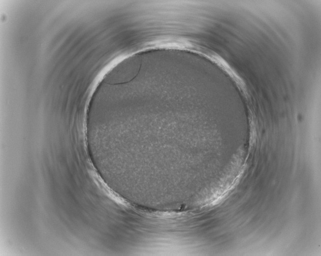 X0000087671240200705251611