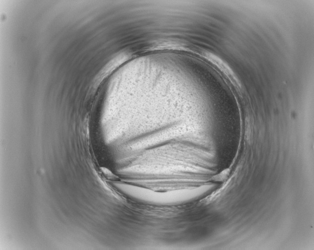 X0000087671241200705251611