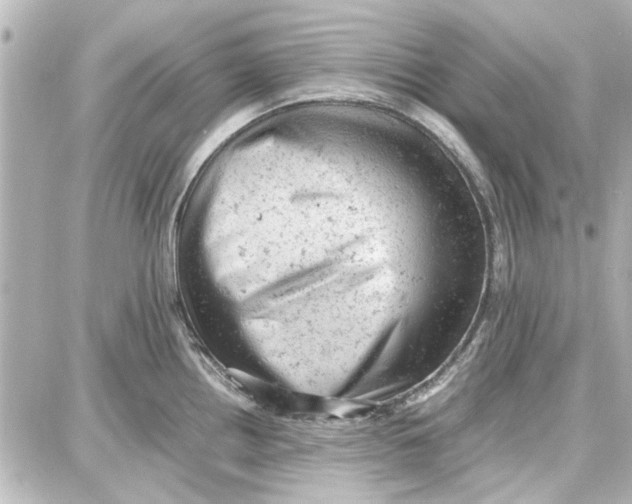 X0000087671242200705251611